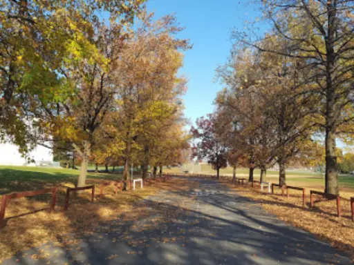 A peaceful path with autumn leaves shows the feeling of renewal after a Mid State Baths shower refinishing.